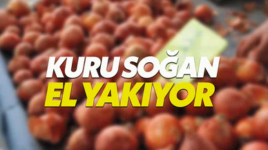 Kuru soğanın fiyatı bir haftada 5 TL'yi buldu