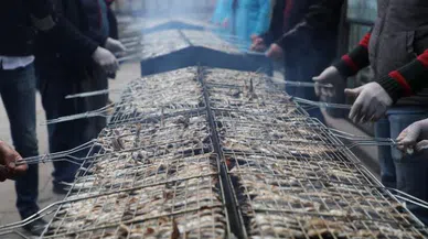 Hamsi Festivali'nde iki saatte üç ton hamsi tükendi