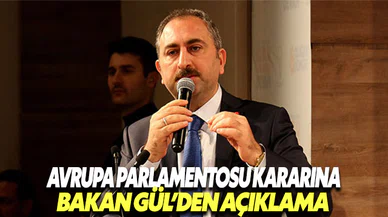 Bakan Gül'den Avrupa Parlamentosu kararına tepki