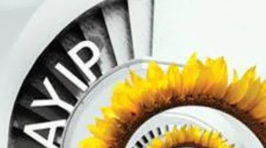 Ayşegül Salt'ın İlk Kitabı KAYIP