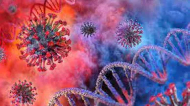 Corona Virüsü En Bulaşıcı Hale Dönüştü