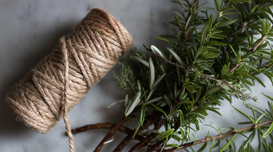 Biberiyenin Faydaları Nelerdir?