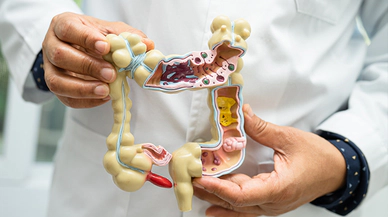 Bağırsak Sağlığını Desteklemek İçin Hangi Besinler Tüketilmeli?