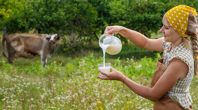 Manda Sütünün Faydaları