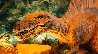 Amazon Ormanlarındaki Yeni Keşif, Tarih Öncesine Ait Bir Dinozor Türü