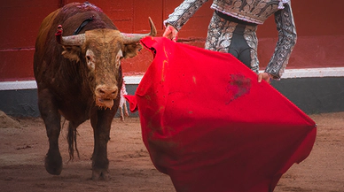 Boğa Güreşlerinin Kökeni ve Tarihi, Efsanevi Bir Sporun Gelişimi