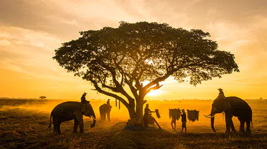 Afrika'nın Kalbine Yeni Bir Işık