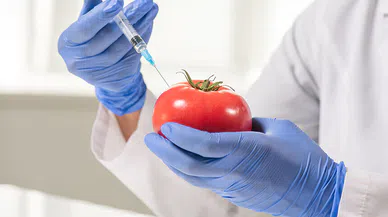 Gıda Biyoteknolojisi ve Genetik Mühendislik