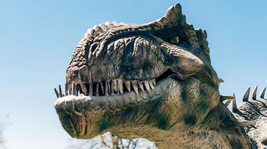 Yeni Bir Dinozor Türü Gün Yüzüne Çıkarıldı