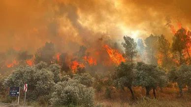 İzmir’in Üç İlçesinde Eş Zamanlı Yangın