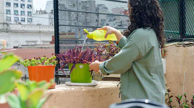 Yeni Nesil Hobi, Şehirde Bahçecilik ve Balkon Tarımı
