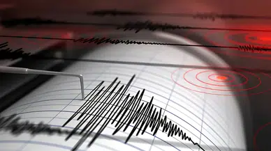 Ege Denizi’nde Deprem Hareketliliği, Peş Peşe Sarsıntılar
