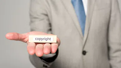 Patent Avukatları, Fikri Mülkiyetin Koruyucuları ve Görevleri