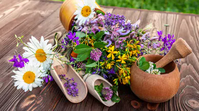 Tıbbi Aromatik Bitkiler ve Sağlığa Katkıları