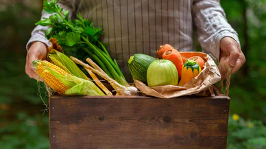 Mevsim sebzeleriyle sofraları renklendirme zamanı