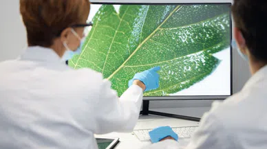 Hayvanların İlham Verdiği Mühendislik Harikaları