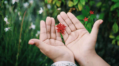 Günlük küçük sevinçler ruhsal dengeyi nasıl güçlendirir