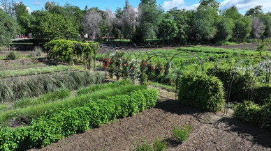 Aromatik bitkiler ile hazırlanan 'Koku Tüneli' Edirne'de!