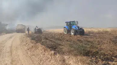 Yenişehir’de anız yangını ormana yayıldı