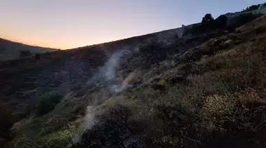 Bingöl Genç’te orman yangını kontrol altına alındı