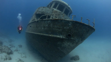Kaş su altı zenginlikleriyle dalış turizminde parlıyor