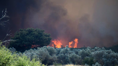 Bornova’da tarım arazisinde çıkan yangın ormana sıçradı