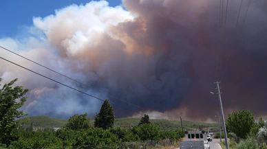 İzmir’de iki ilçeyi etkileyen orman yangını!