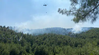 Osmaniye’de orman yangını ekipler seferber oldu