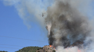 Bodrum’da orman yangınına havadan ve karadan müdahale