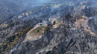 Manisa’da 3 ilçede orman yangınları büyüyor