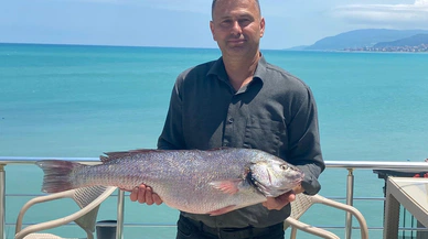 Sinop Türkeli açıklarında 6,5 kiloluk kötek balığı yakalandı