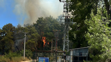 Antalya Manavgat’ta orman yangını çıktı!