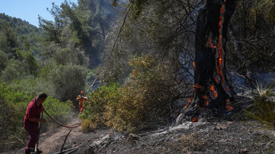 İzmir’de orman işçileri yangınla gece gündüz mücadele ediyor