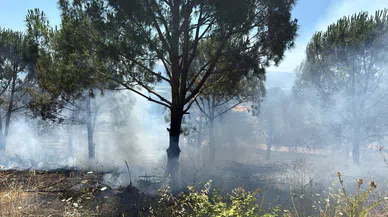 Bursa Nilüfer’deki yangın kontrol altına alındı