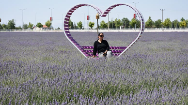 Karatay Lavanta Bahçesi 500 bin ziyaretçi bekliyor
