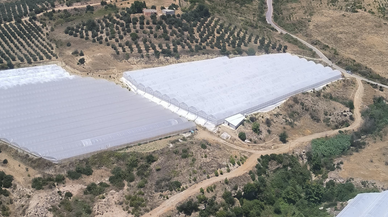 Antalya Aksu’da makilik alanda yangın paniği