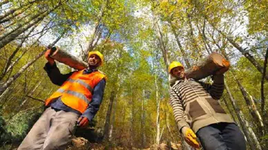 Tarım ve Orman Bakanlığı 496 Personel Alımı Yapacak! İşte Kadro Dağılımı, Başvuru Koşulları ve Süreç Detayları