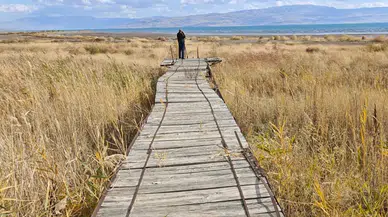 Van Gölü'nde Su Seviyesi Kritik Düzeye İniyor
