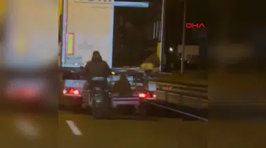 Diyarbakır'da Hareket Halindeki TIR'dan Koyun Hırsızlığı Görüntülendi