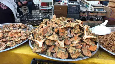 Balıkesir'de Melki Mantarı Bereketi: Fiyatlar Düşüyor