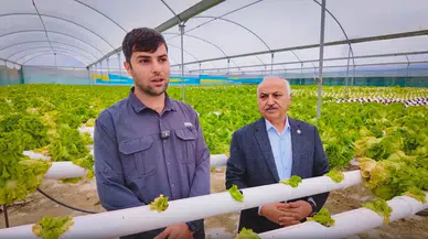 Mersin'de Üretici Krizi: Maliyetler ve Teklifler Arasında Kalan Tarım