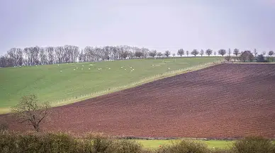 Gübre Fiyatları 2026 Yılı İtibarıyla Ne Durumda? İGSAŞ, Toros ve BAGFAŞ Fiyatları Açıklandı