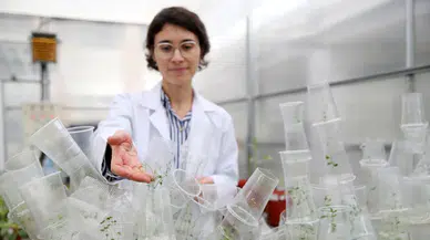 Türk Bilim Kadını Uzay Biyolojisine Önemli Katkılar Sunuyor