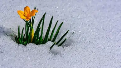 2026 Cemre Düşme Takvimi: İlk Cemre Havaya Düştü, İkinci Cemre Ne Zaman ve Nereye Düşecek?