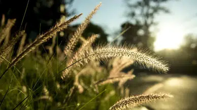 2026 Cemre Düşme Tarihleri: Bahar Geliyor! 2. Cemre Ne Zaman Düşecek?