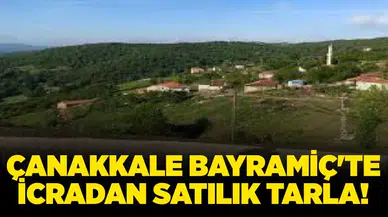 Çanakkale bayramiç'te icradan satılık tarla fırsatı ne sunuyor?