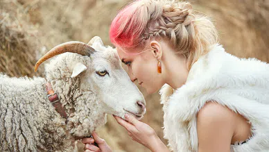 Burçların,  Evcil Hayvan Sağlığı Üzerindeki Etkisi