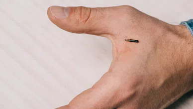 Mikro robotlar, sessiz makineler