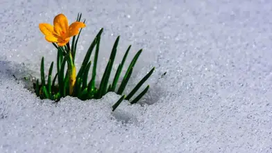 2026 Cemre Düşme Takvimi: İlk Cemre Havaya Düştü, İkinci Cemre Ne Zaman ve Nereye Düşecek?