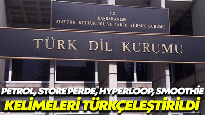 TDK yeni Türkçe sözcükleri açıkladı